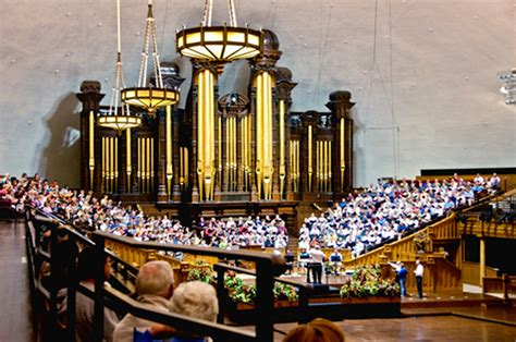 pipe organ videos.
